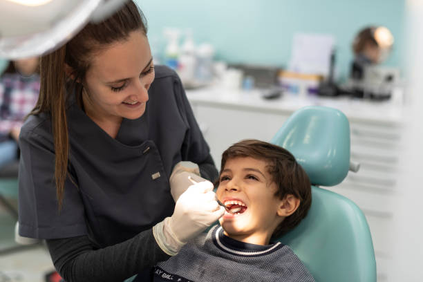 Best Dentist for Dental Trauma  in Spring Creek, NV